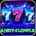 andy flower Plus Edition v2.4.9