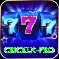crickex Super 2024