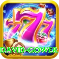 david gower Plus Edition v2.1.8