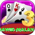 dawid malan Plus v1.4.5