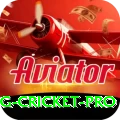 eng cricket - Slots Master