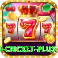 fastest ball in cricket - VIP Deluxe
