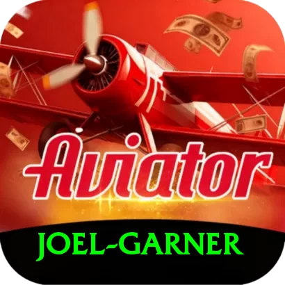 joel garner VIP Pro v2.2.2 - 2
