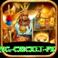 make money betting cricket pk Max Pro v1.5.1