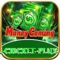 most runs in international cricket Game King v4.6.6