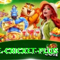 one cricket Live Casino Master