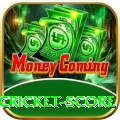 online cricket score Pro1 v1.1.0