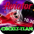 pakistan women cricket team Pro Edition v1.5.5