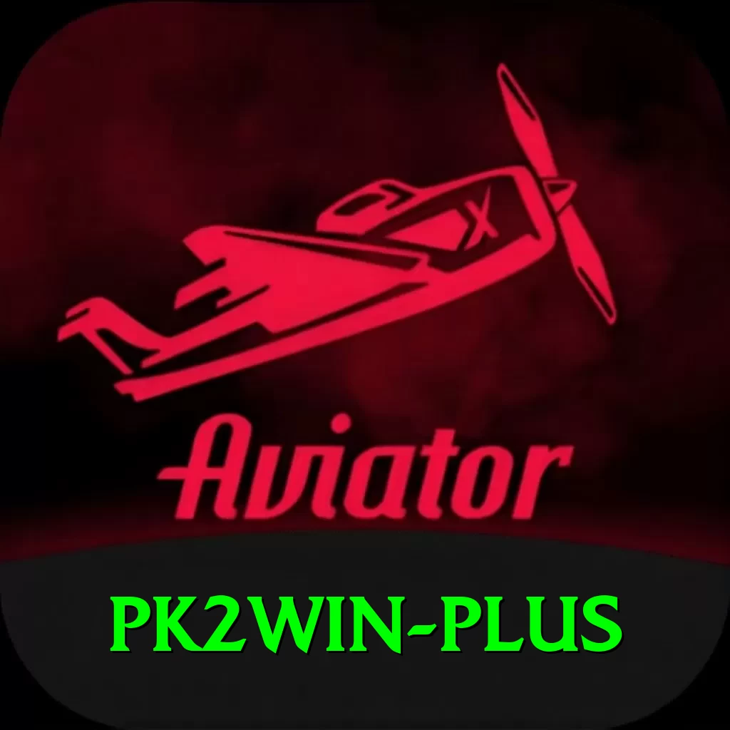 pk2win Max v5.0.6 - 2