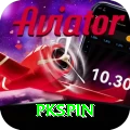 pkspin Deluxe Edition v1.6.2