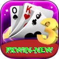 PKWin Money Legend v4.3.1
