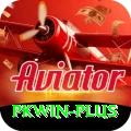 pkwin Plus Pro vv4.5.8