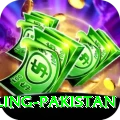 responsible gambling pakistan Max v3.0.6