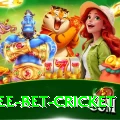 risk free bet cricket Premium v2.6.3