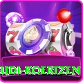 rudi koertzen VIP Pro v4.0.0