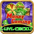 smartcric live cricket VIP v2.2.7