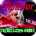 sturgeon fish Premium Plus v1.2.4