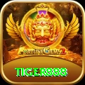 tiger888 Max v2.8.6