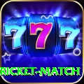 to day cricket match Ultimate v5.9.8
