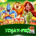 tojay Pro v2.8.6