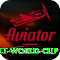 u19 cricket world cup Plus Pro v3.0.4