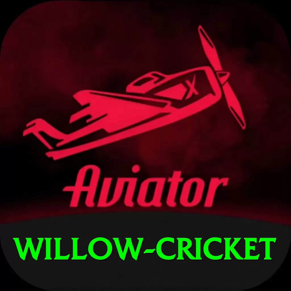 willow cricket Premium Plus v5.6.3 - 2