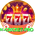 willow cricket Supreme Slots